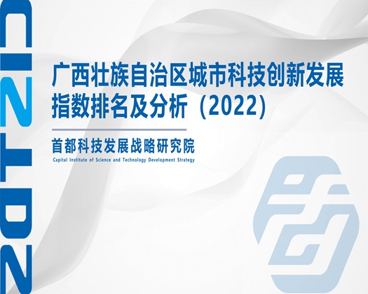 想要大鸡巴插逼【成果发布】广西壮族自治区城市科技创新发展指数排名及分析（2022）